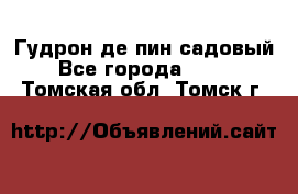 Гудрон де пин садовый - Все города  »    . Томская обл.,Томск г.